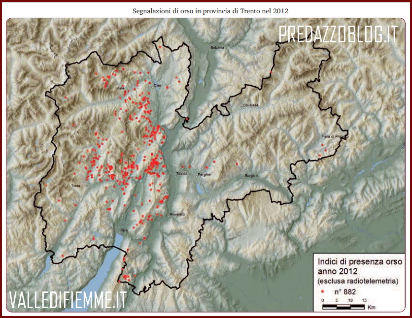 segnalazioni orso provincia trento 2012 Orso, lupo e lince in Trentino: quanti sono e dove vivono. Il rapporto 2012 