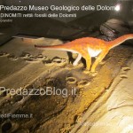 predazzo museo geologico delle dolomiti dinomiti rettili fossili delle dolomiti13 150x150 Predazzo le foto della mostra “DinoMiti, rettili fossili e dinosauri nelle Dolomiti”
