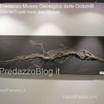predazzo museo geologico delle dolomiti dinomiti rettili fossili delle dolomiti28 150x150 Predazzo le foto della mostra “DinoMiti, rettili fossili e dinosauri nelle Dolomiti”