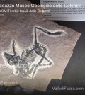 predazzo museo geologico delle dolomiti - dinomiti rettili fossili delle dolomiti36