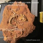 predazzo museo geologico delle dolomiti dinomiti rettili fossili delle dolomiti40 150x150 Parte la stagione culturale estiva del Museo Geologico delle Dolomiti di Predazzo