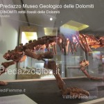 predazzo museo geologico delle dolomiti dinomiti rettili fossili delle dolomiti48 150x150 Predazzo le foto della mostra “DinoMiti, rettili fossili e dinosauri nelle Dolomiti”
