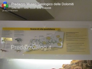 predazzo museo geologico delle dolomiti dinomiti rettili fossili delle dolomiti51 300x225 predazzo museo geologico delle dolomiti   dinomiti rettili fossili delle dolomiti51