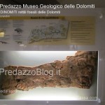 predazzo museo geologico delle dolomiti dinomiti rettili fossili delle dolomiti52 150x150 Predazzo le foto della mostra “DinoMiti, rettili fossili e dinosauri nelle Dolomiti”