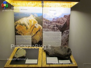 predazzo museo geologico delle dolomiti dinomiti rettili fossili delle dolomiti54 300x225 predazzo museo geologico delle dolomiti   dinomiti rettili fossili delle dolomiti54