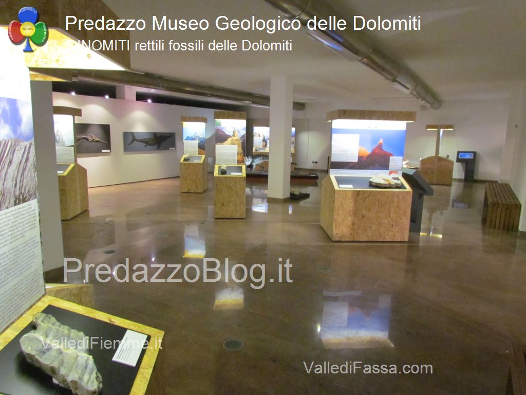 predazzo museo geologico delle dolomiti dinomiti rettili fossili delle dolomiti72 Lavori al Museo Geologico delle Dolomiti di Predazzo