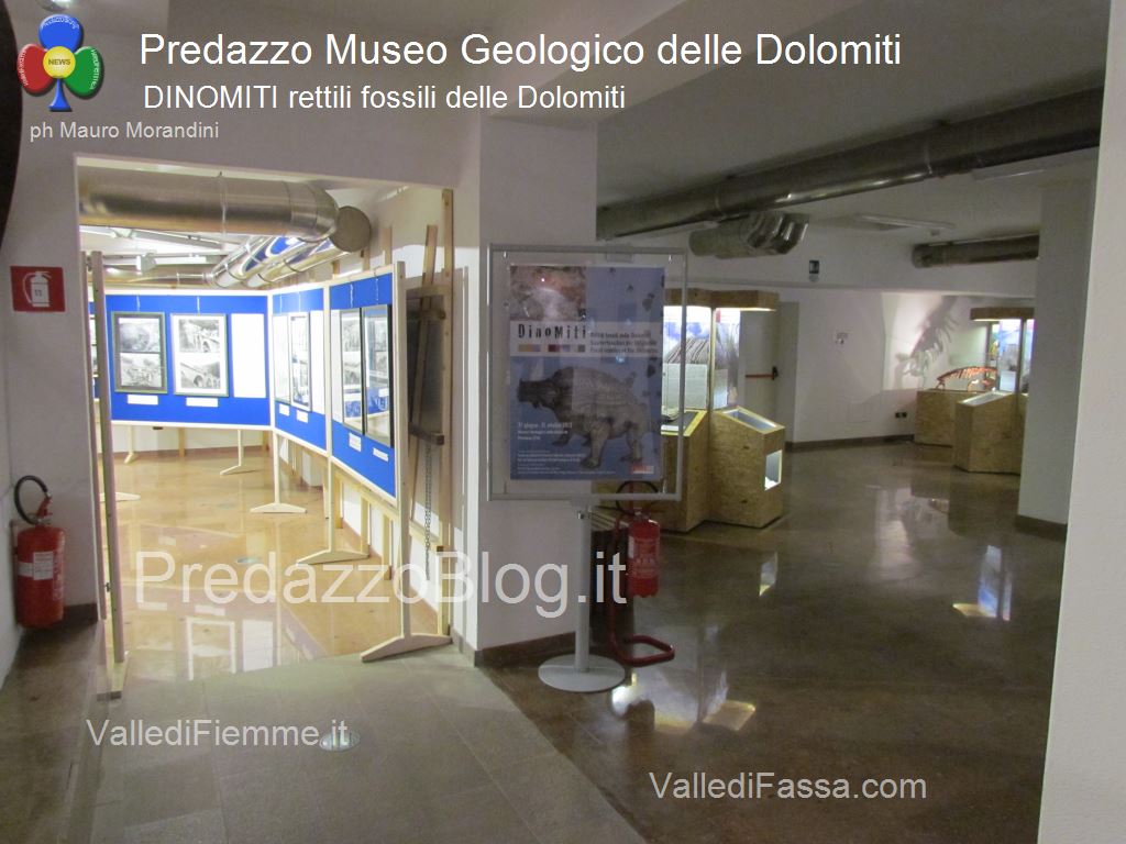predazzo museo geologico delle dolomiti dinomiti rettili fossili delle dolomiti761 Le attività estive al Museo Geologico delle Dolomiti di Predazzo