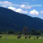 predazzo concorsi ippici nazionali show jumping fiemme13 150x150 10 GIORNI EQUESTRE   PREDAZZO SHOW JUMPING 2015 (virtuale)