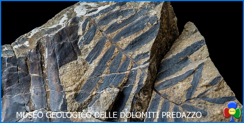 museo geologico delle dolomiti predazzo 4 1024x516 Inaugurazione Museo Geologico delle Dolomiti di Predazzo