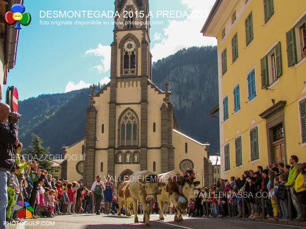 predazzo desmontegada 2015 4 ottobre predazzoblog165 Desmontegada 2016 e Festival del Gusto a Predazzo