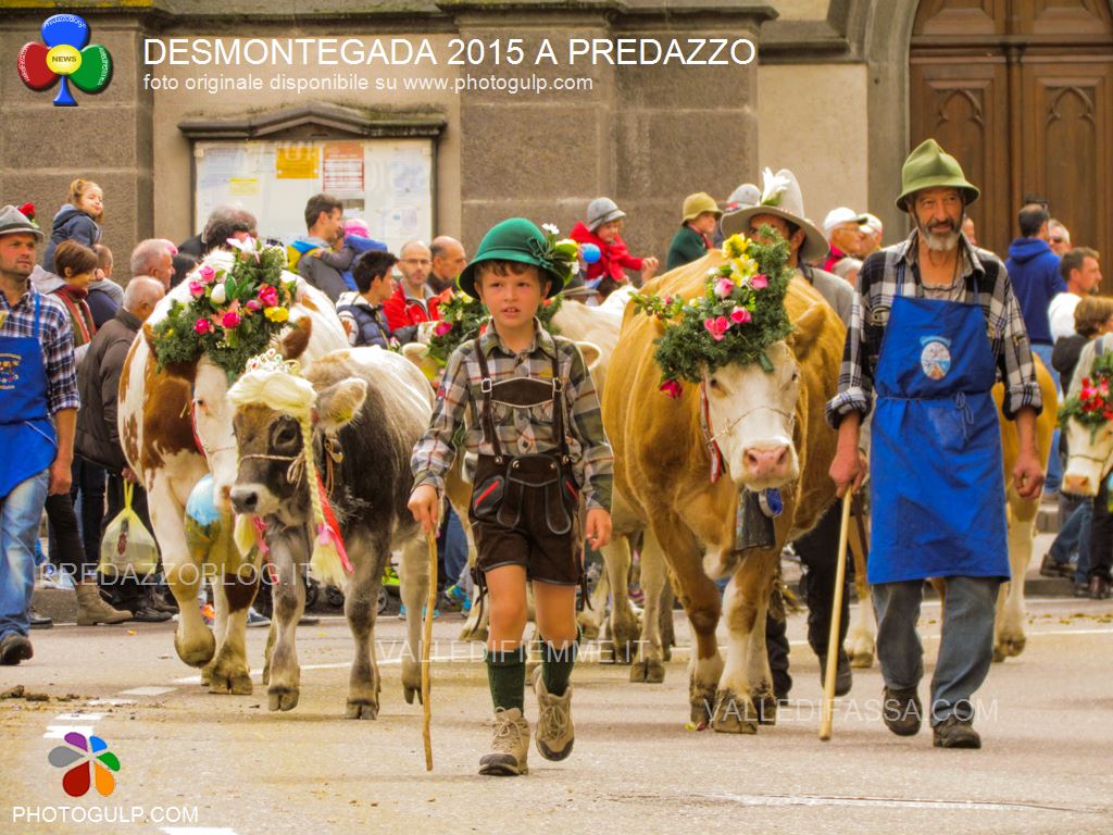 predazzo desmontegada 2015 4 ottobre predazzoblog264 Desmontegada 2016 e Festival del Gusto a Predazzo