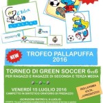 pallapuffa 2016 predazzo blog 150x150 Torneo Green Volley 3×3 a Predazzo