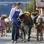 c desmontegada predazzo 2017 ph lorenzo delugani2 150x150 Desmontegada 2017 Predazzo   Le foto della sfilata
