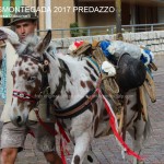 desmontegada predazzo 2017 ph teresa giacomelli38 150x150 Desmontegada 2017 Predazzo   Le foto della sfilata