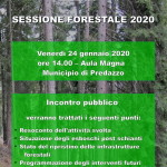 sessione forestale predazzo 150x150 LA VOCE DEL BOSCO DOPO LA TEMPESTA bostrico e  prospettive future
