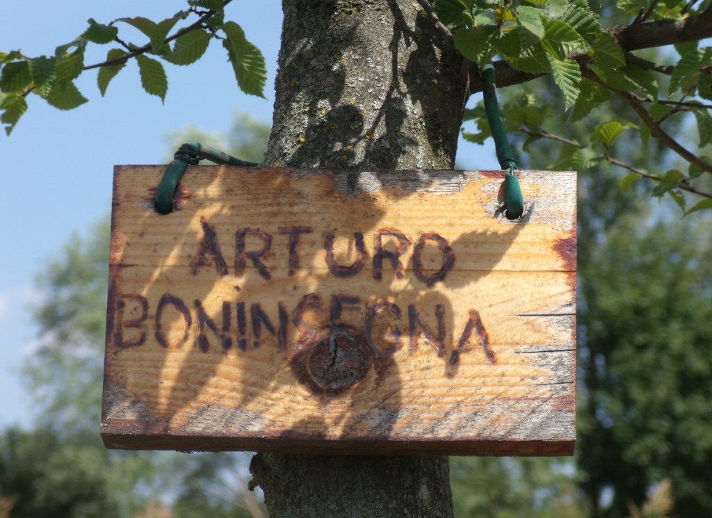 carpino arturo boninsegna a 1024x745  Una pianta dedicata ad Arturo Boninsegna nel parco “Angolo del pensiero”