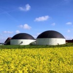 biogas 150x150 Aria di primavera tra Basta Liquami e Progetto BioGas