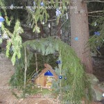 presepi nel bosco ziano fiemme ph mauro morandini predazzo blog88 150x150 Le foto dei Presepi nel Bosco di Ziano di Fiemme