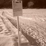 Nuovo percorso nella piana di Predazzo per Nordic Walking Winter NW Ciaspole e Pedoni predazzoblog1 150x150 Nuovo percorso outdoor nella piana di Predazzo per Nordic Walking   Winter NW   Ciaspole e Pedoni