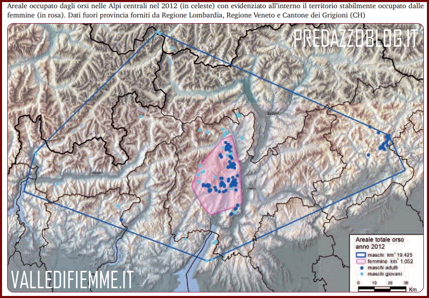 cartina presenza orsi in trentino 2012 Orso, lupo e lince in Trentino: quanti sono e dove vivono. Il rapporto 2012 