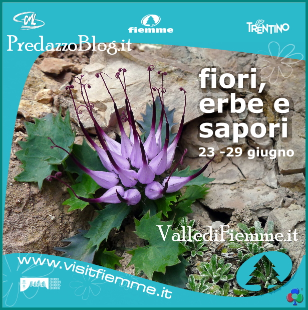 fiori erbe sapori predazzo fiemme 2013 Fiori, erbe e sapori in Valle di Fiemme 