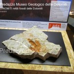 predazzo museo geologico delle dolomiti dinomiti rettili fossili delle dolomiti10 150x150 Predazzo le foto della mostra “DinoMiti, rettili fossili e dinosauri nelle Dolomiti”