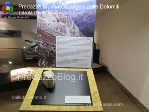 predazzo museo geologico delle dolomiti dinomiti rettili fossili delle dolomiti16 300x225 predazzo museo geologico delle dolomiti   dinomiti rettili fossili delle dolomiti16