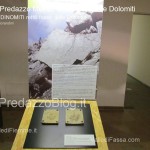 predazzo museo geologico delle dolomiti dinomiti rettili fossili delle dolomiti17 150x150 Predazzo le foto della mostra “DinoMiti, rettili fossili e dinosauri nelle Dolomiti”