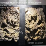 predazzo museo geologico delle dolomiti dinomiti rettili fossili delle dolomiti20 150x150 Predazzo le foto della mostra “DinoMiti, rettili fossili e dinosauri nelle Dolomiti”