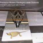 predazzo museo geologico delle dolomiti dinomiti rettili fossili delle dolomiti35 150x150 Predazzo le foto della mostra “DinoMiti, rettili fossili e dinosauri nelle Dolomiti”