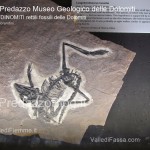 predazzo museo geologico delle dolomiti dinomiti rettili fossili delle dolomiti36 150x150 Lacrime delle Dolomiti di Sesto La prima in Trentino al Cinema di Predazzo