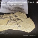 predazzo museo geologico delle dolomiti dinomiti rettili fossili delle dolomiti37 150x150 Predazzo le foto della mostra “DinoMiti, rettili fossili e dinosauri nelle Dolomiti”