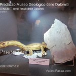 predazzo museo geologico delle dolomiti dinomiti rettili fossili delle dolomiti4 150x150 Predazzo le foto della mostra “DinoMiti, rettili fossili e dinosauri nelle Dolomiti”
