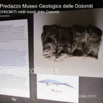 predazzo museo geologico delle dolomiti dinomiti rettili fossili delle dolomiti44 150x150 Predazzo le foto della mostra “DinoMiti, rettili fossili e dinosauri nelle Dolomiti”