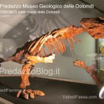 predazzo museo geologico delle dolomiti dinomiti rettili fossili delle dolomiti47 150x150 Predazzo le foto della mostra “DinoMiti, rettili fossili e dinosauri nelle Dolomiti”