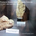 predazzo museo geologico delle dolomiti dinomiti rettili fossili delle dolomiti5 150x150 Predazzo le foto della mostra “DinoMiti, rettili fossili e dinosauri nelle Dolomiti”