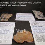 predazzo museo geologico delle dolomiti dinomiti rettili fossili delle dolomiti55 150x150 Predazzo le foto della mostra “DinoMiti, rettili fossili e dinosauri nelle Dolomiti”