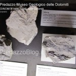 predazzo museo geologico delle dolomiti dinomiti rettili fossili delle dolomiti56 150x150 Predazzo le foto della mostra “DinoMiti, rettili fossili e dinosauri nelle Dolomiti”