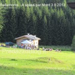 bellamonte predazzo fiemme a spass par mont 2013135 150x150 Bellamonte, le foto de A Spass par Mont 2013