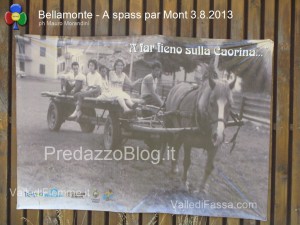 bellamonte predazzo fiemme a spass par mont 201329 300x225 bellamonte predazzo  fiemme a spass par mont 201329