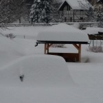 8 150x150 Tsunami di neve nelle valli di Fiemme e Fassa. Foto e Video 