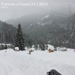 nevicata in fiemme e fassa 31.1.2014110 150x150 Tsunami di neve nelle valli di Fiemme e Fassa. Foto e Video 