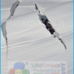 nuova valanga al passo rolle 25.2.14 150x150 Passo Rolle, paesaggi da fiaba e disagi fra metri di neve