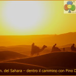 100 km del sahara con pino dellasega 150x150 Sky Icarus   video dedicato alla 100km del Sahara con Pino Dellasega