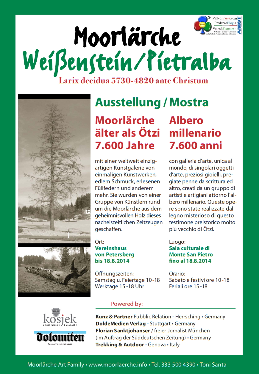 albero millenario monte san pietro Albero millenario di Pietralba in mostra