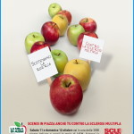 mele scendono in piazza aism 150x150 Una mela per la vita 2012 Associazione Italiana Sclerosi Multipla