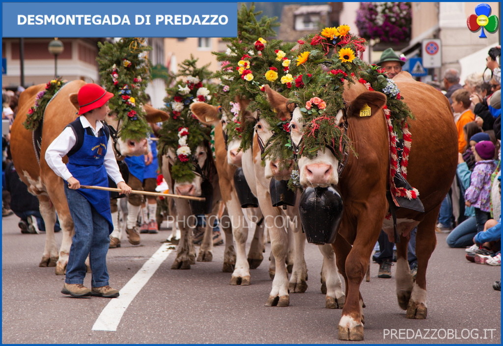 desmontegada predazzo photogulp 1024x705 Desmontegada 2015 e Festival del Gusto a Predazzo
