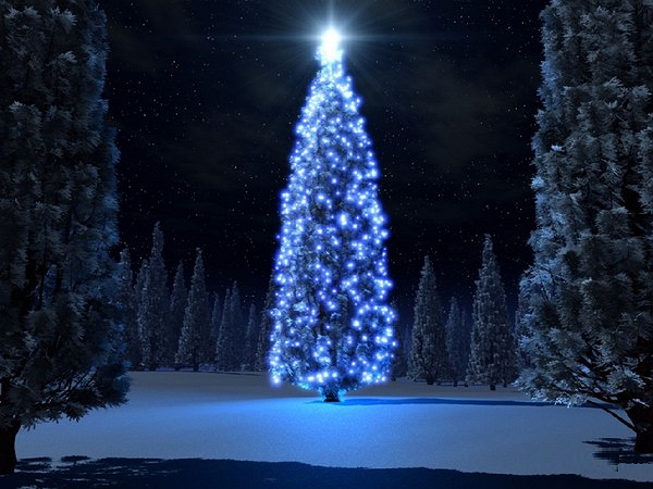 albero di natale L incredibile  albero di Natale realizzato da 500 ragazzi    Video