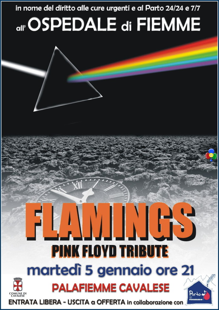 concerto pink floyd parto per fiemme 725x1024 Flamings Pink Floyd Tribute al PalaFiemme per salvare lOspedale