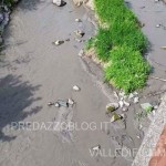 avisio svaso diga di pezze maggio 2016 fiemme6 150x150 NellAvisio muoiono le trote per lo svaso della diga di Pezzè